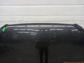 Lexus IS300 Hood Panel - 0