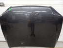 Lexus IS300 Hood Panel-3