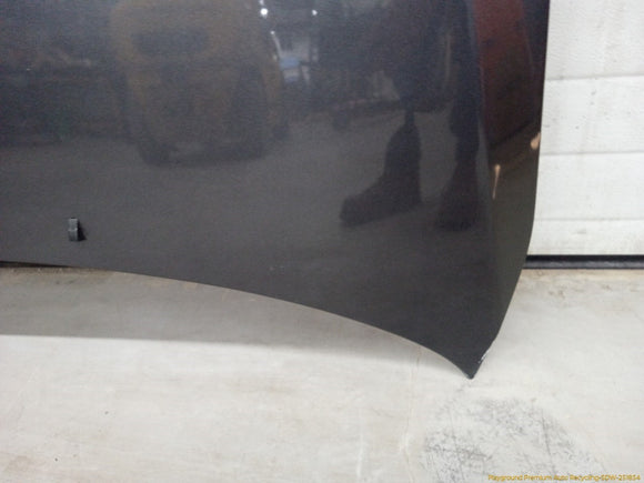 Lexus IS300 Hood Panel