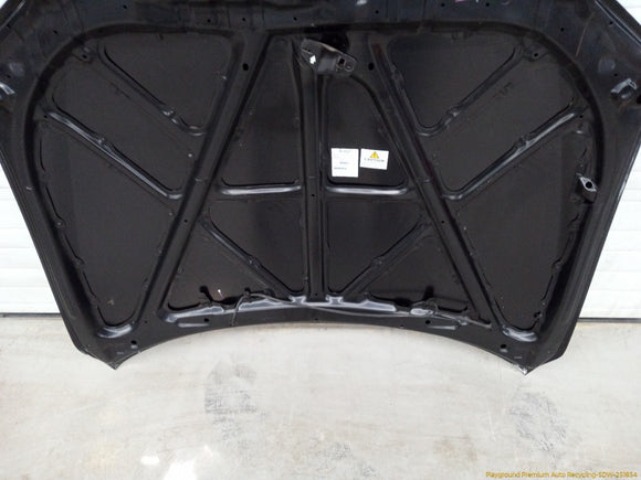 Lexus IS300 Hood Panel