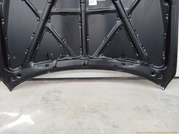 Lexus IS300 Hood Panel