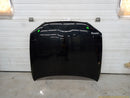 Lexus IS300 Hood Panel-1