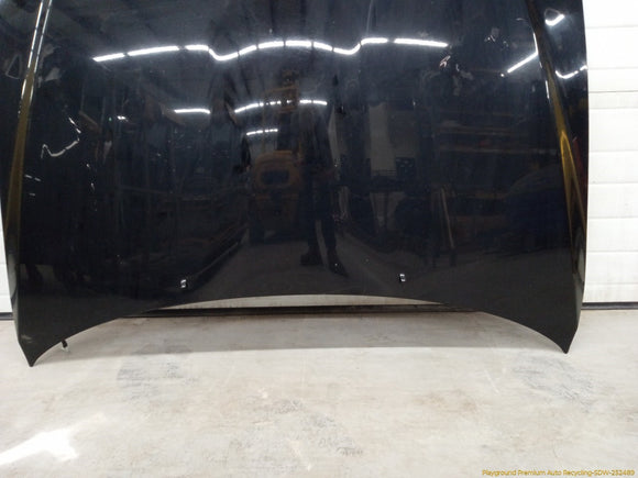 Lexus IS300 Hood Panel