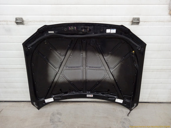 Lexus IS300 Hood Panel