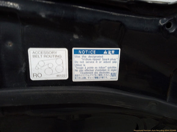 Lexus IS300 Hood Panel