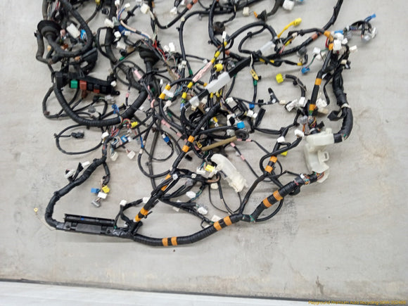 Lexus IS300 Vehicle Wire Harness