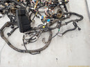 Lexus IS300 Vehicle Wire Harness-4