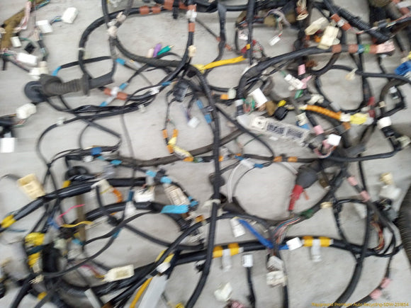 Lexus IS300 Vehicle Wire Harness