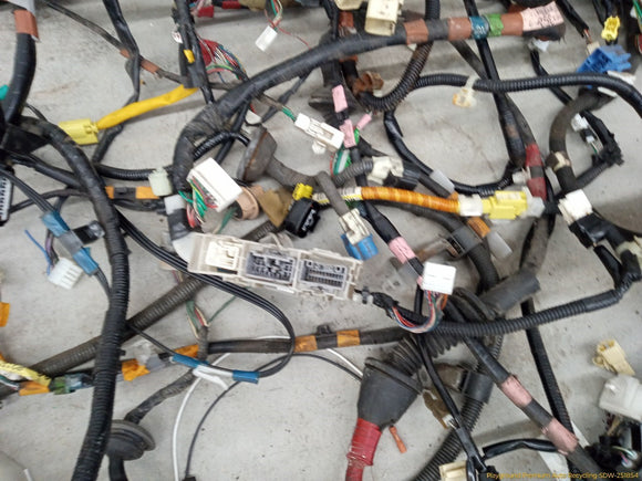 Lexus IS300 Vehicle Wire Harness