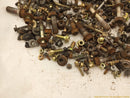 Lexus IS300 Dismantling Hardware Fasteners Bolts & Nuts-11
