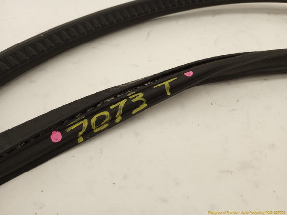 Audi A5 Sunroof Seal Molding