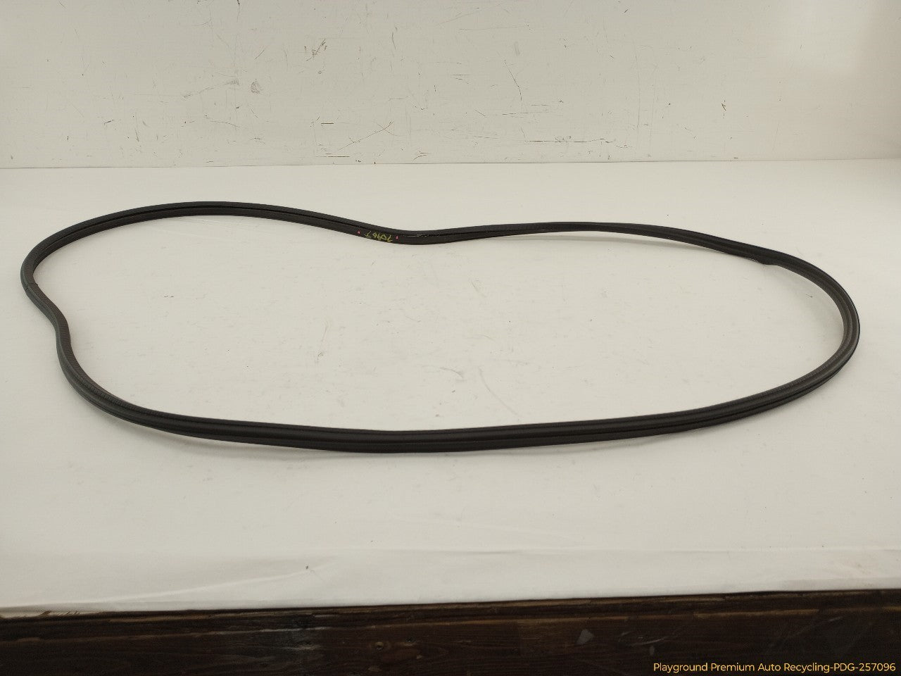 Audi A5 Sunroof Seal Molding