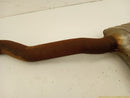 Audi A5 Exhaust Muffler Down Pipe-6