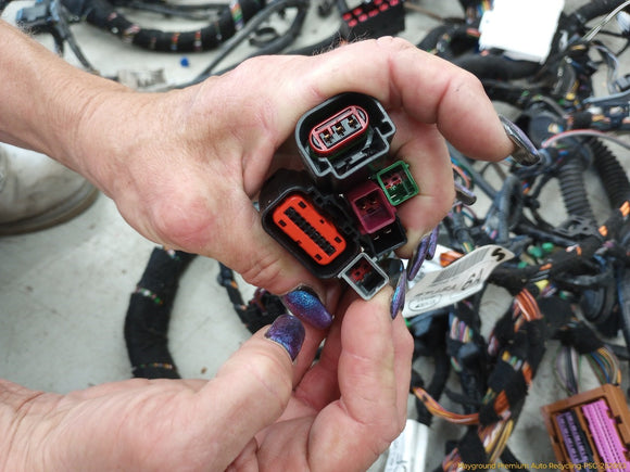 Land Rover LR2 Body Wiring Harness