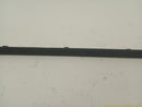 Ford Mustang Driver Left Rocker Panel Molding-4