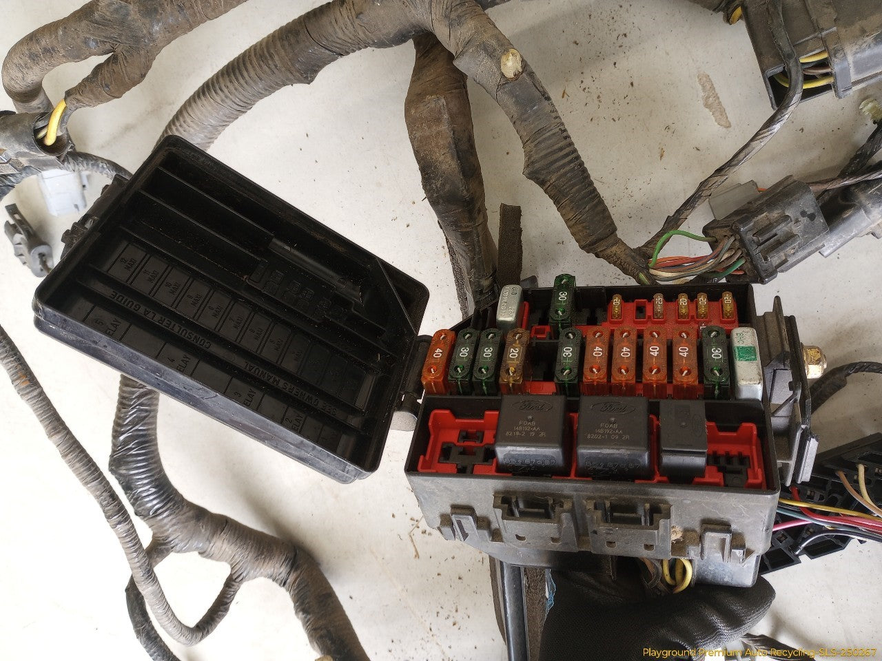 Ford Mustang Engine Wire Harness