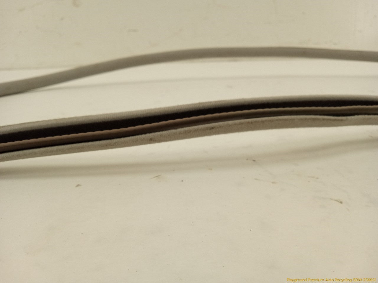 Acura RSX Sunroof Molding