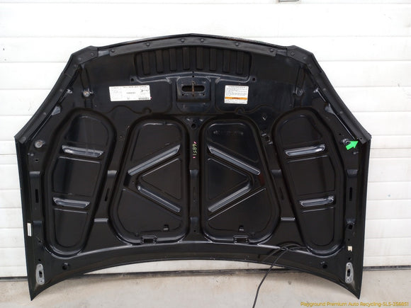 Acura RSX Hood Bonnet Panel