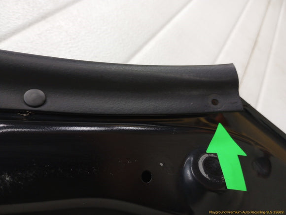 Acura RSX Hood Bonnet Panel