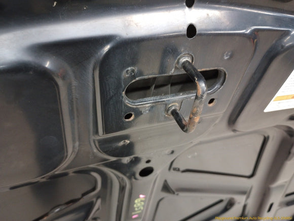 Acura RSX Hood Bonnet Panel