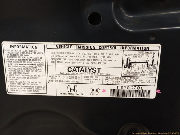 Acura RSX Hood Bonnet Panel