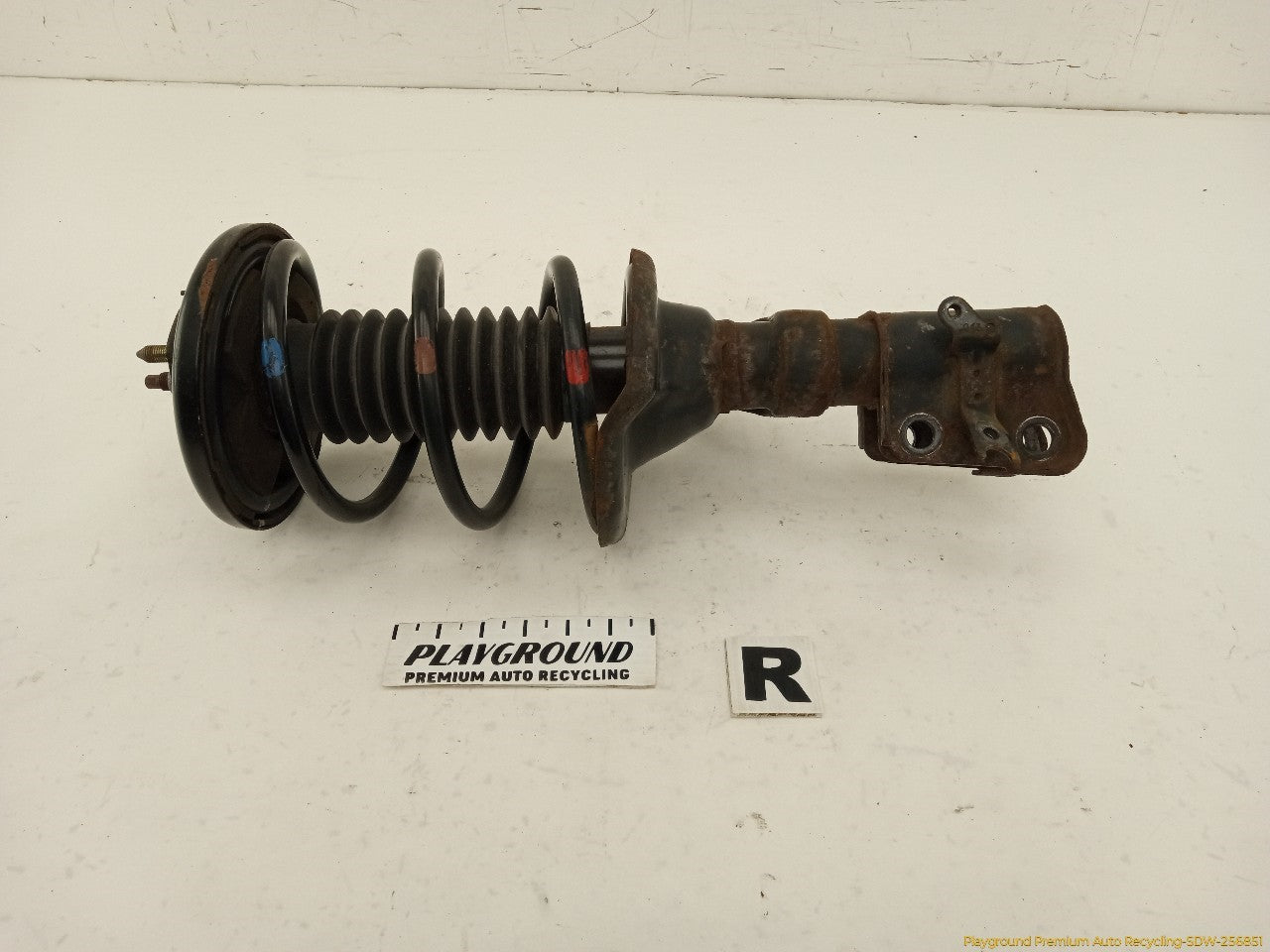 Acura RSX Passenger Right Front Strut