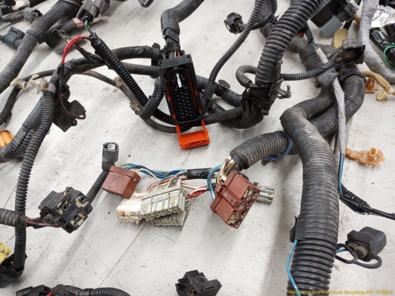Acura RSX Body Wire Harness