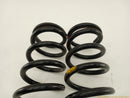 Jaguar XK8 Pair Of Rear Coil Spring-5