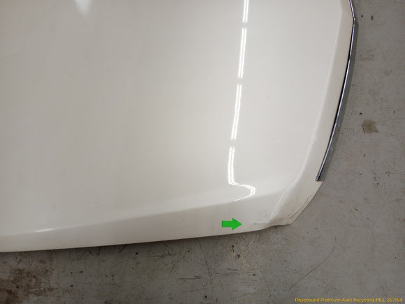 Cadillac CTS Hood Bonnet Panel