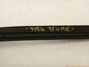 Cadillac CTS Trunk Lid Molding-10