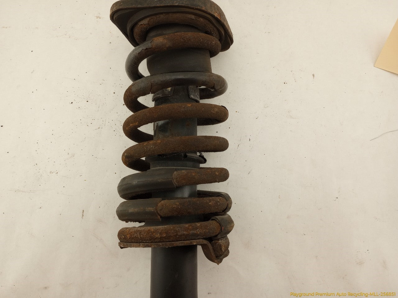 Acura RSX Pair Of Rear Struts