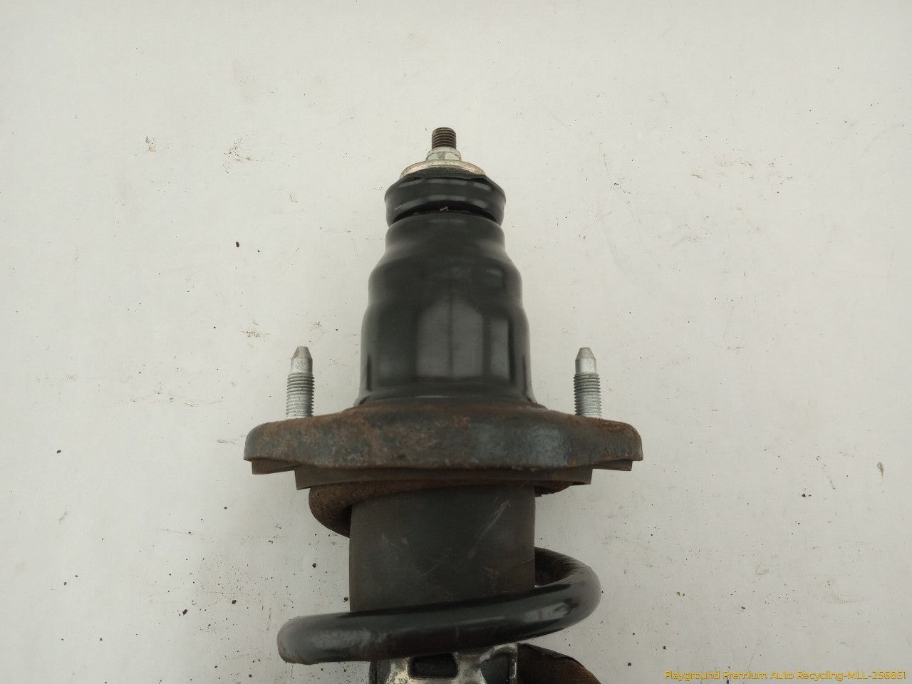 Acura RSX Pair Of Rear Struts