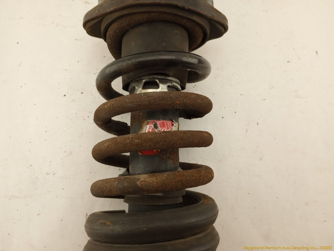 Acura RSX Pair Of Rear Struts