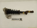 Cadillac CTS Passenger Right Front Strut-1