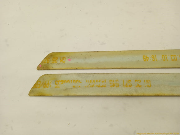 Cadillac CTS Pair Of Front Door Sill Step Plates