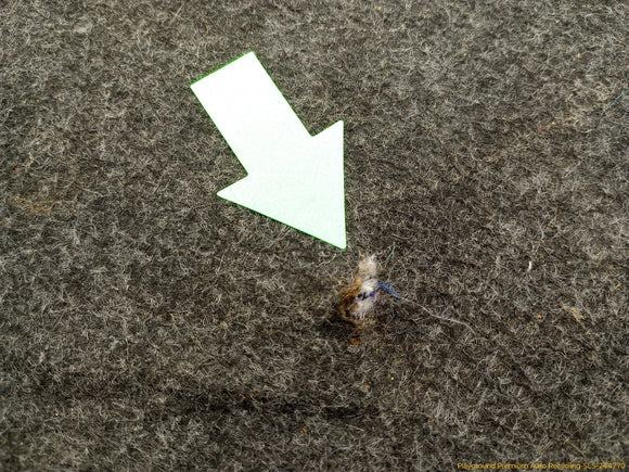 Ford Mustang Rear Trunk Spare Tire Floor Carpet