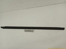 Ford Mustang Passenger Right Front Door Window Sweep-1