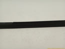 Ford Mustang Passenger Right Front Door Inner Seal Molding-4