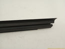 Ford Mustang Passenger Right Front Door Inner Seal Molding-9