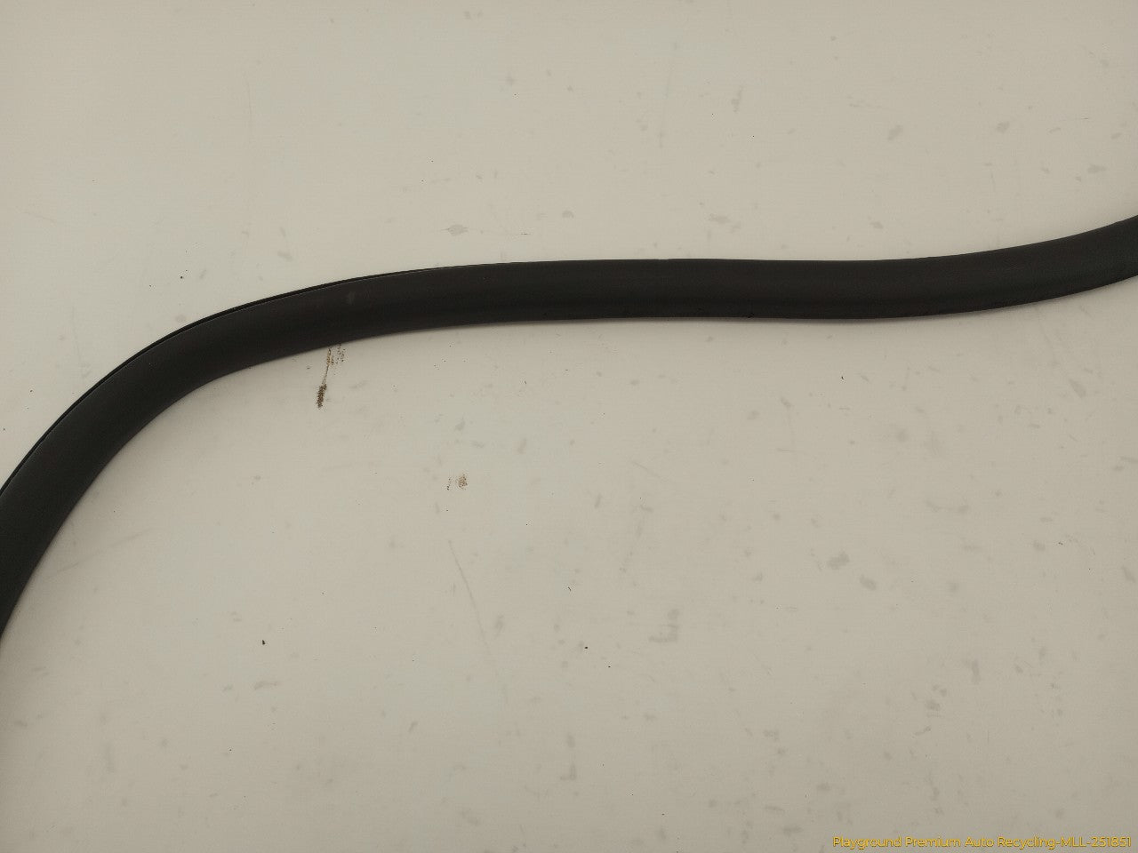 Audi S4 Passenger Right Rear Door Molding