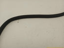 Audi S4 Passenger Right Rear Door Molding-3