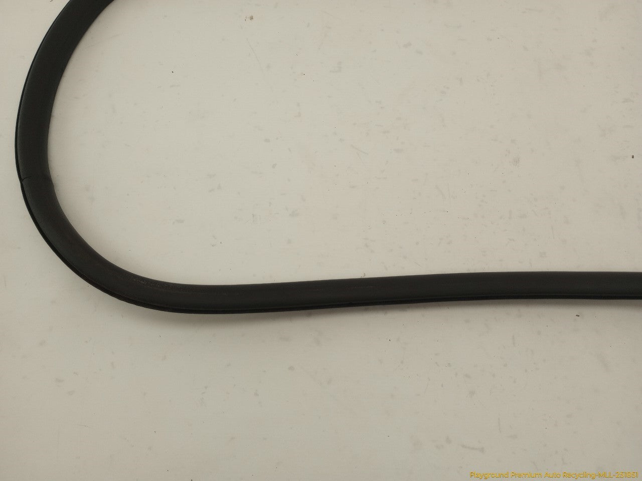 Audi S4 Passenger Right Rear Door Molding
