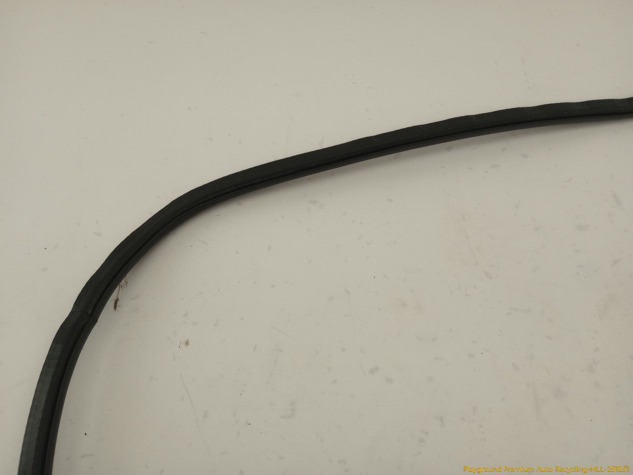 Audi S4 Passenger Right Rear Door Molding