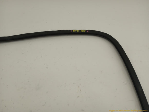 Audi S4 Passenger Right Rear Door Molding