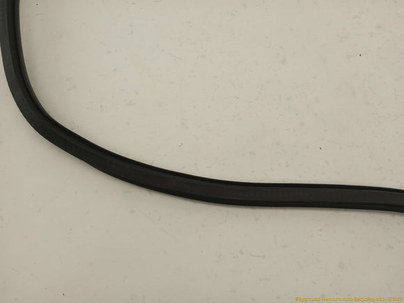 Audi S4 Passenger Right Rear Door Molding