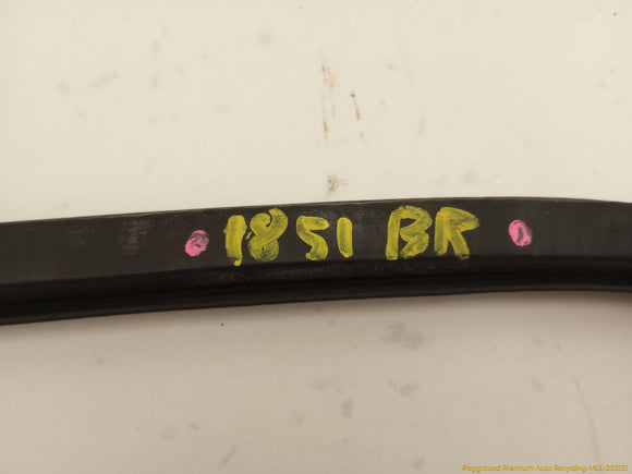 Audi S4 Passenger Right Rear Door Molding