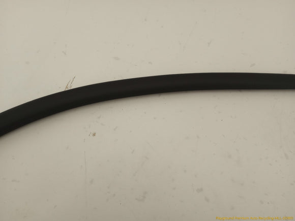 Audi S4 Passenger Right Front Door Molding