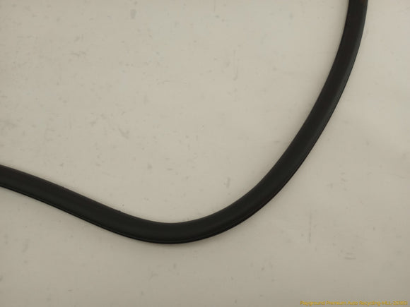 Audi S4 Passenger Right Front Door Molding