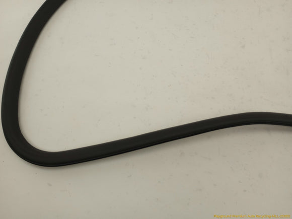 Audi S4 Passenger Right Front Door Molding