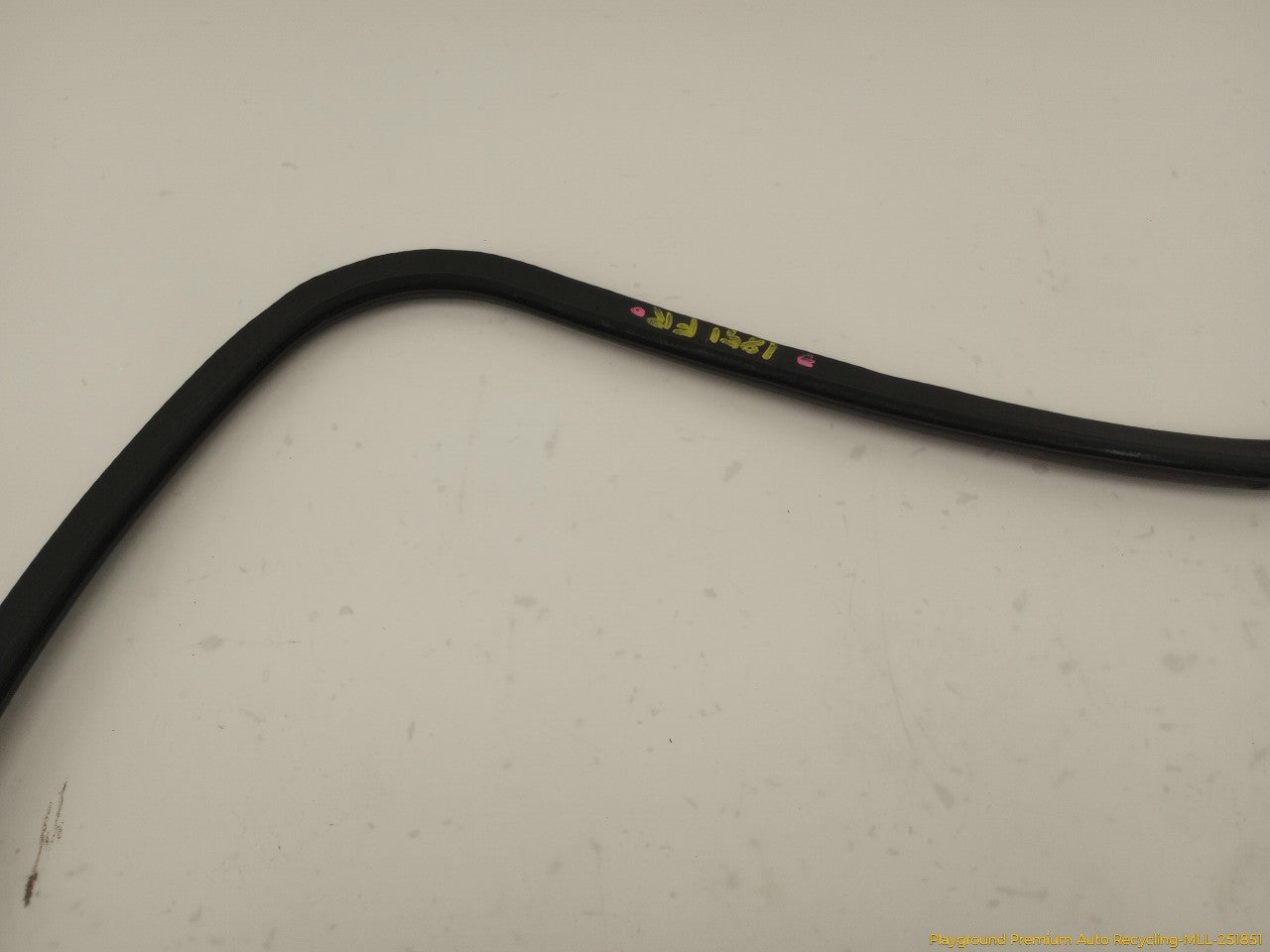 Audi S4 Passenger Right Front Door Molding